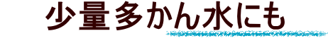 少量多かん水にも